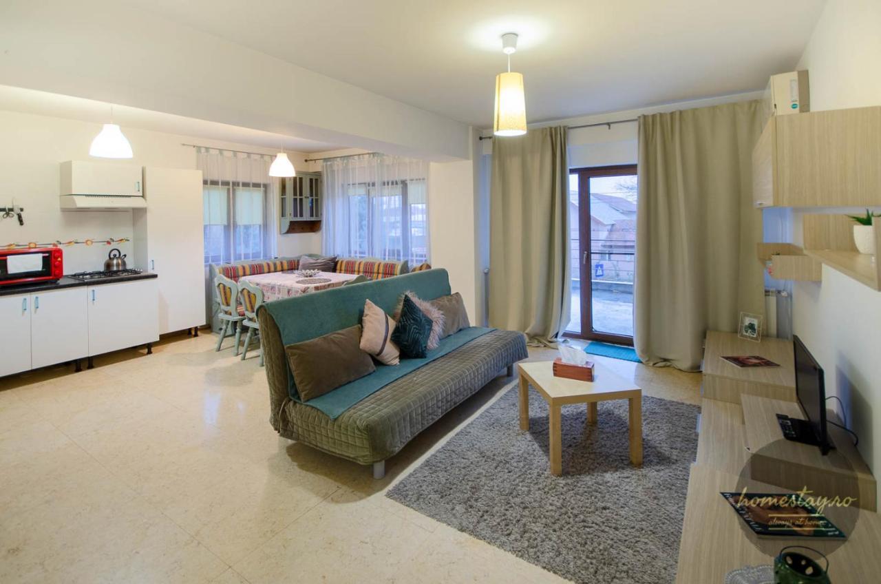 Homestay Apartamento Otopeni
