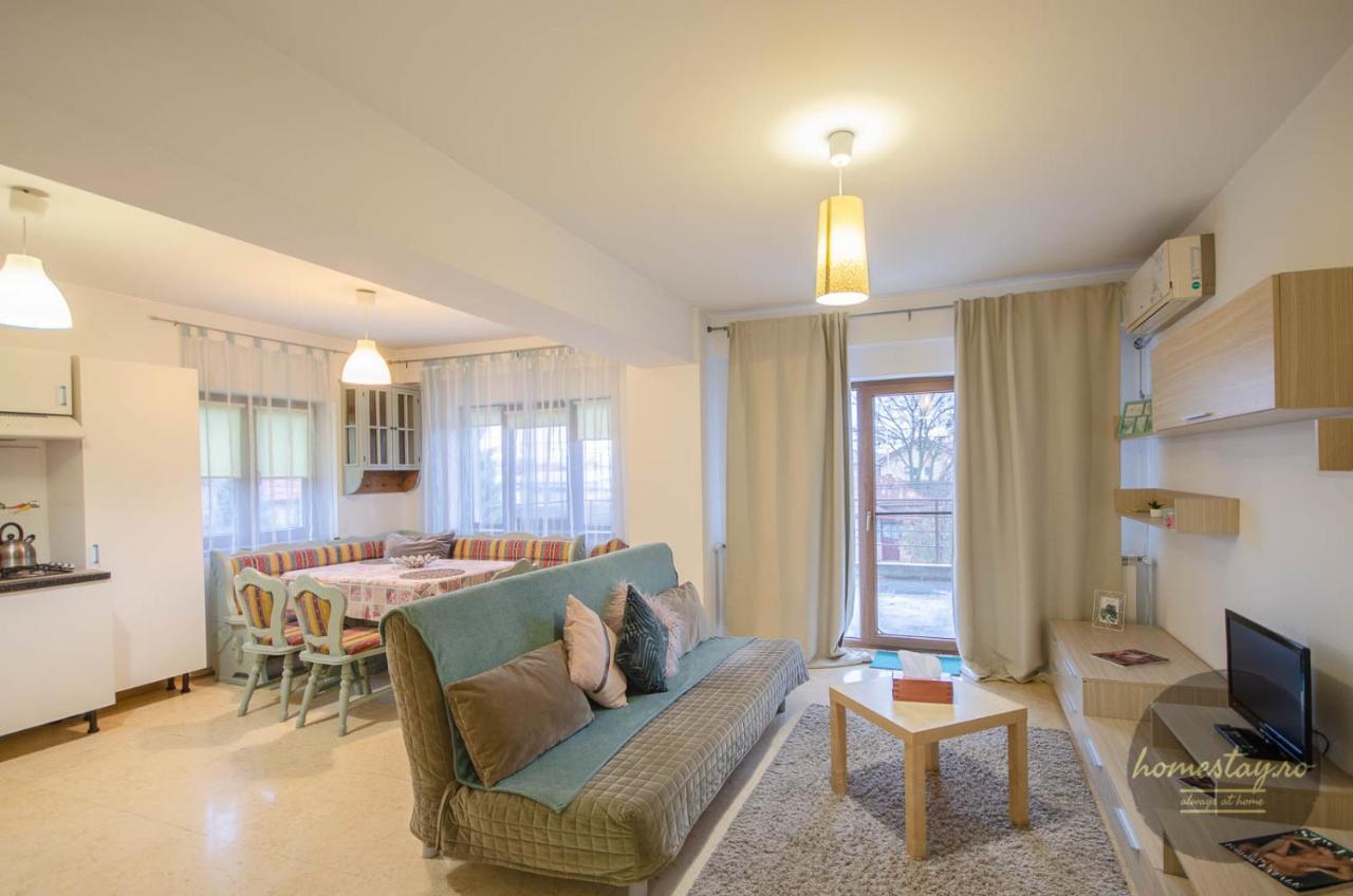 Homestay Apartamento Otopeni